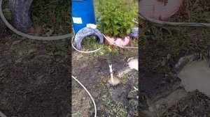 Абиссинская скважина 12м насосом Ручеек