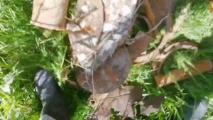 Небольшой коп, +разбор кислородного балона .