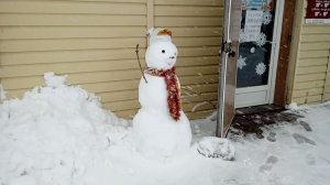 В г. Цимлянске наконец началась зима. 8 января 2020 г.mp4