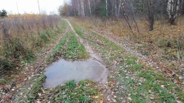 Вязники,Мстёра,осень смотреть онлайн