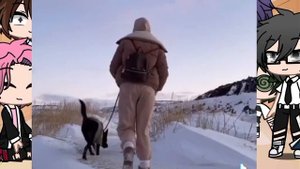 Реакция 13 карт на Т/И(2/?) и домашних животных Т/И(3/?)