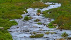 Когда Артем пришел домой, не сразу поверил своим глазам.