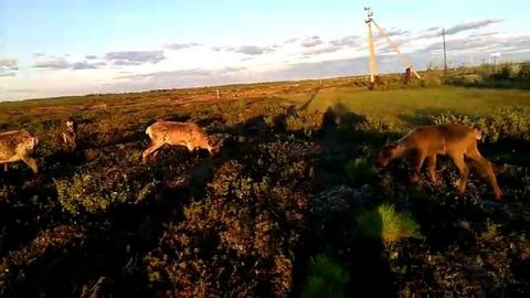 север работа