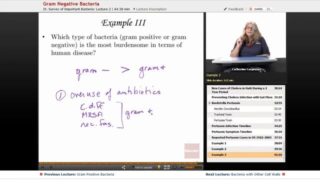 “Gram Negative Bacteria” | Microbiology with Educator.com смотреть онлайн
