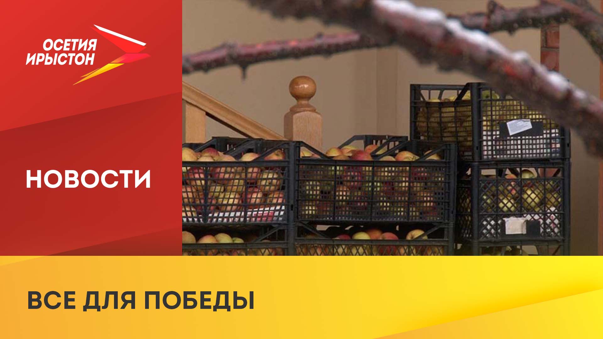 Из Северной Осетии в зону СВО отправили фрукты и овощи