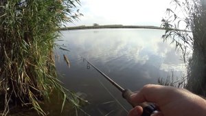 Лайт спиннинг. Тест микроколебалок с Aliexpress.