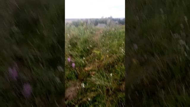 Гроза