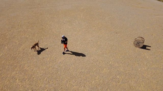 Mastering the Orbit Function with Mavic Mini and Litchi App - Top Tips Inside смотреть онлайн