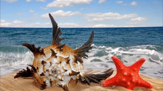 Почему шумит ракушка? смотреть онлайн