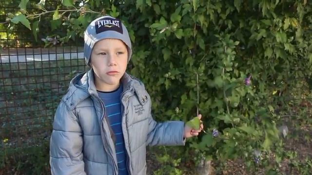 День отца 2022 г. смотреть онлайн