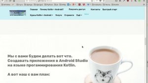 Почему стоит изучать язык программирования Kotlin?