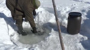 ЗИМНЯЯ ОХОТА НА ТРОФЕЙНУЮ ЩУКУ В ЯКУТИИ НА ЖИВЦА