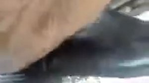 Лижу сапоги.