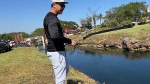 Catching WILD EXOTIC AQUARIUM Fish From Canals!