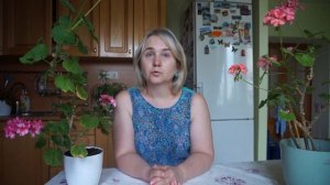 Комнатные растения для Овна. Цветы Овна символы карьерного роста и личностного успеха!