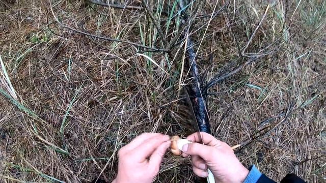 МАСЛЯТА И РЯДОВКА ТОПОЛЕВАЯ КАКОЙ КАЙФ смотреть онлайн