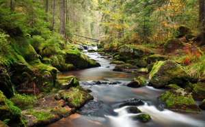 Релакс музыка природы. Успокаивающие звуки для сна. Звуки воды. Звуки природы