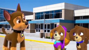 Щенячий патруль🍫скай и гонщик ❤если я сама 💝сказала пока не чего🧁 клава кока 🍉🍫