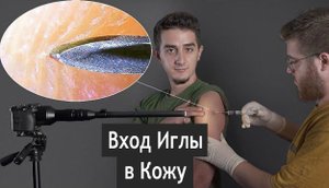 Крупный план повседневных объектов (Макросъемка с увеличением х1000)