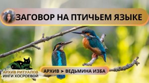 ЗАГОВОР НА ПТИЧЬЕМ ЯЗЫКЕ. ДЛЯ ВСЕХ ➤ ВЕДЬМИНА ИЗБА