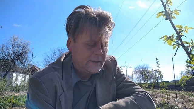 Выращивание малины под соломой. Плюсы и минусы смотреть онлайн