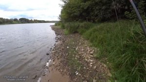Осенний спиннинг на Оке 2020. Рыбалка с берега на воблеры.