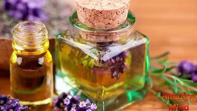 Запахи в нашей жизни - ПАРФЮМ! Как мы ИХ воспринимаем? смотреть онлайн