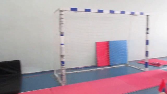 Настя спецтехника №1 Открытый Всеукраинский Кубок по Таеквон-до ITF "ВОИН". Киев 08.04.2017. смотреть онлайн