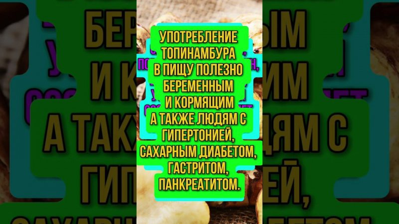 Чем полезен топинамбур  #советысадоводам #топинамбур