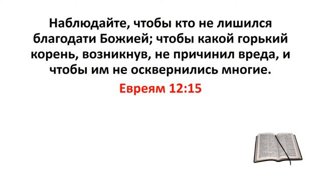 Библия, Новый Завет. Евреям 12:15