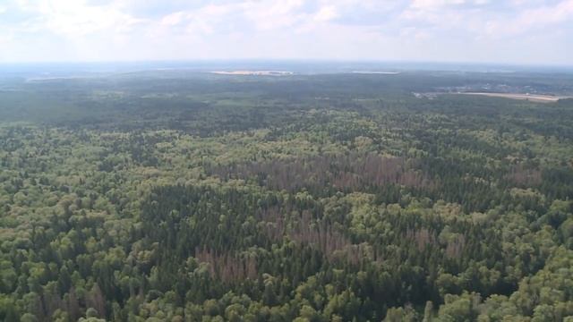 Приглашаем на акцию по посадке деревьев смотреть онлайн