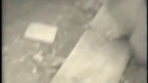 Анатолий Балуев. Хроника - Анатолий Балуев в молодости и премьера Мы были дымом