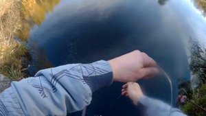 Кидаем Поисковой Магнит в приусадебный пруд. Поиск 2022