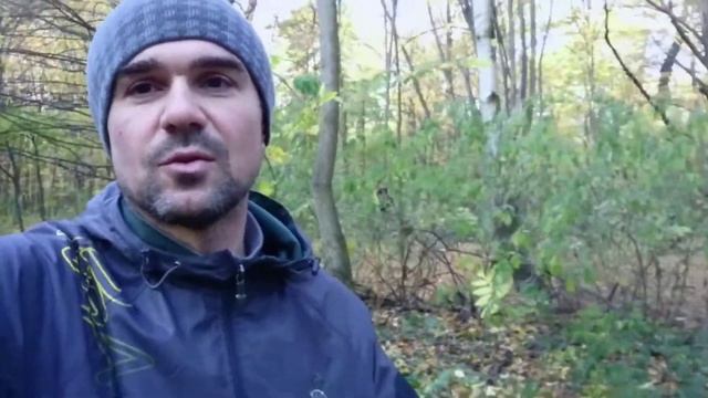 Орехи польза и вред