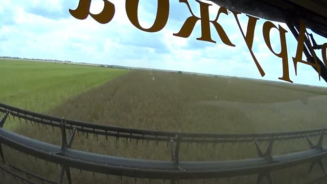 МОГИЛЬНИЦЯ 2021 Працюємо ЖНИВА РІПАК 4Т смотреть онлайн