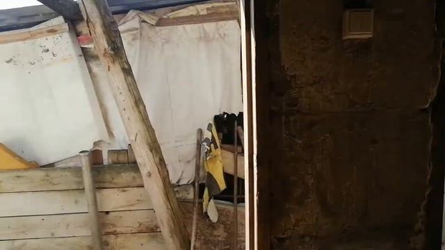 Содержание гусят в первые дни смотреть онлайн