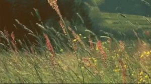 Юрий Визбор "Поведаю вам таинство одно..."