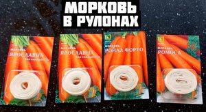 Морковь в рулонах пробуем сажать семена в бумажных лентах