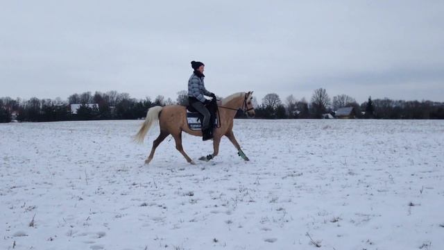 славочка смотреть онлайн