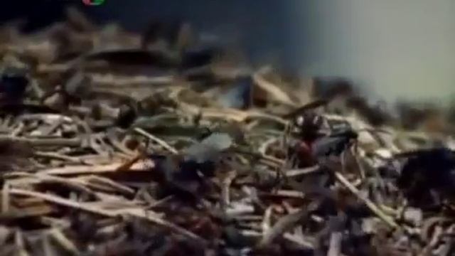 Как человек становится алкоголиком. смотреть онлайн