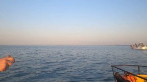 Троллинг, балберы, угорь, все впервые. И конечно же судаки!