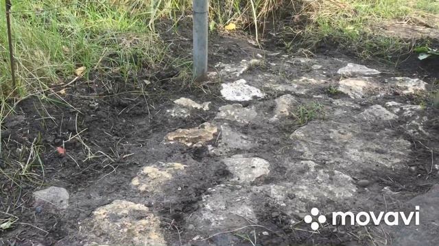 Юг России Ставрополь Октябрь На дачу! смотреть онлайн