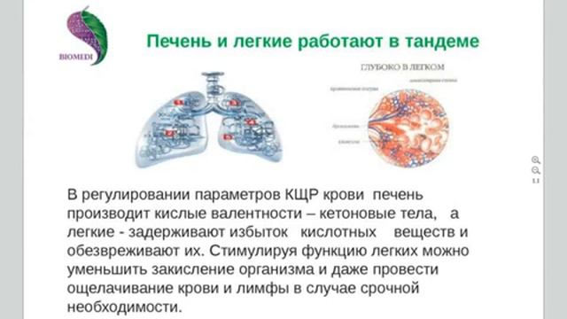 Доктор Малютина  Здоровье лёгких и печени