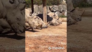 Винперл. Vinpearl остров развлечений. Нячанг, Вьетнам 2023 год, январь.