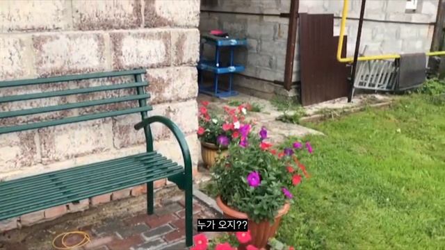 한국 남편으로부터 해방!! 러시아로 도망 왔어요. 한국 자막. Убежала от мужа-корейца в Россию:) смотреть онлайн