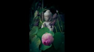 ТРИ СИЛЬНЫЕ МАНТРЫ_ПОЛОЖИТЕЛЬНАЯ ЭНЕРГИЯ_МЕДИТАЦИЯ