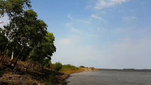 Город на берегу Амура  /  Амурск  /  набережная  /  The city on the banks of the Amur  /  Amursk