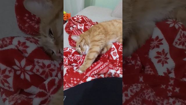 Валим отсюда!