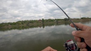 Fario Morm S + приманки Pike Bait! Отлично половил на микроджиг окуня и щуку на реке!