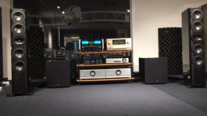 Perlisten S7t & Mcintosh MA 12000 & Auralic.